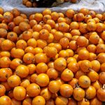 agbalumo_17