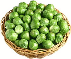brussel-sprout-green-food