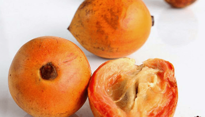 Agbalumo