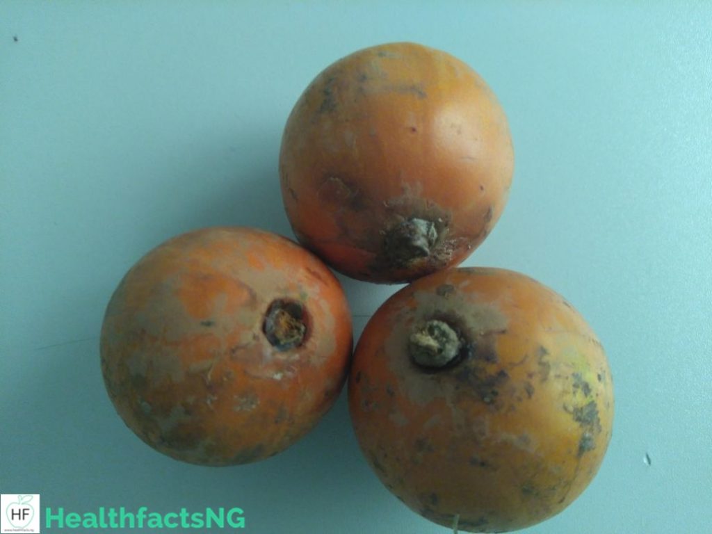 Agbalumo