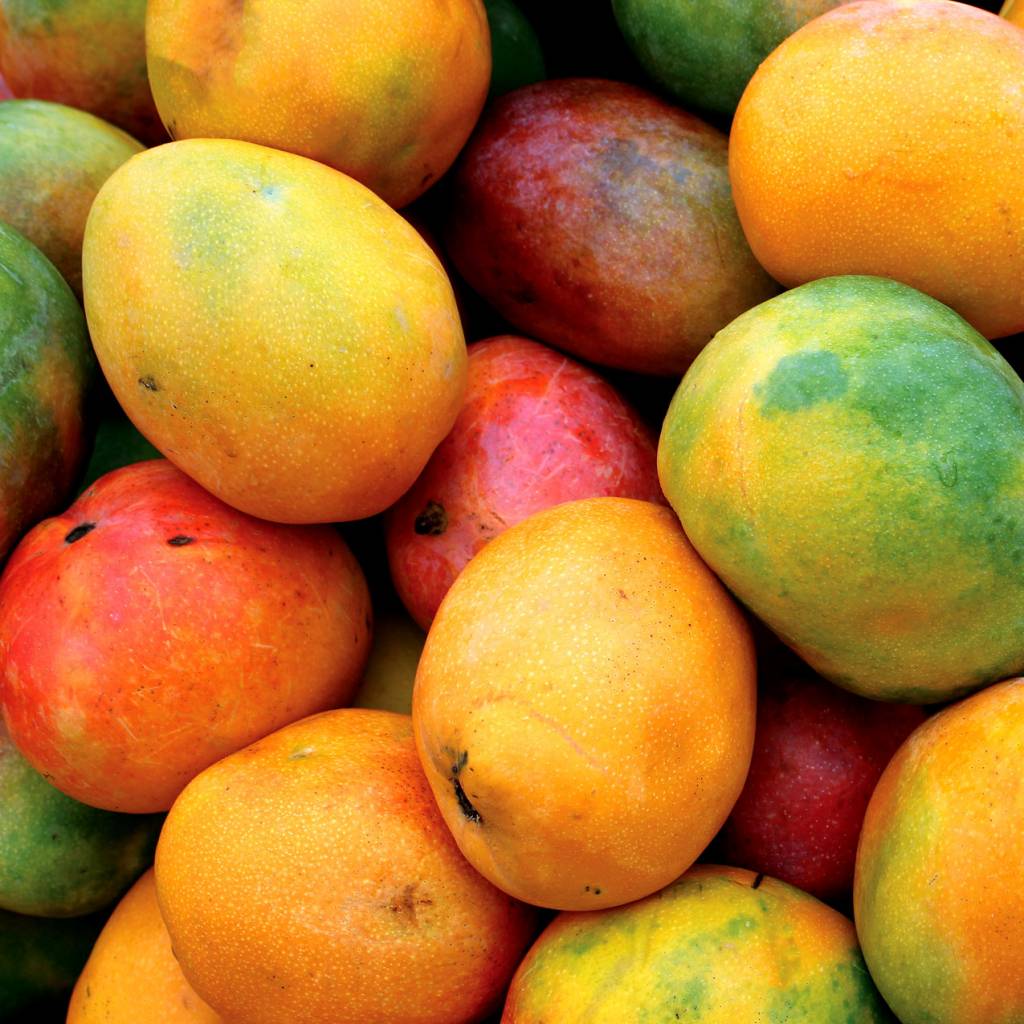 mango