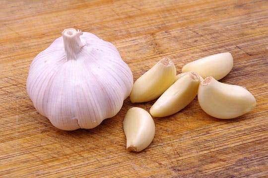 Garlic