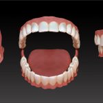 anatomy_practice___teeth_by_iceblazer17