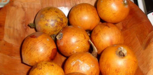 agbalumo