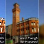 vision-through-cataract