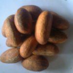 Bitter_Kola_Garcinia_Kola.jpg_220x220