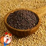 TMPDOODLE1471034770983