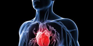 cardiovasular disease