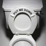 Toilet seat