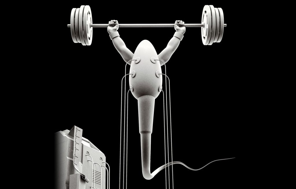 improve sperm quality