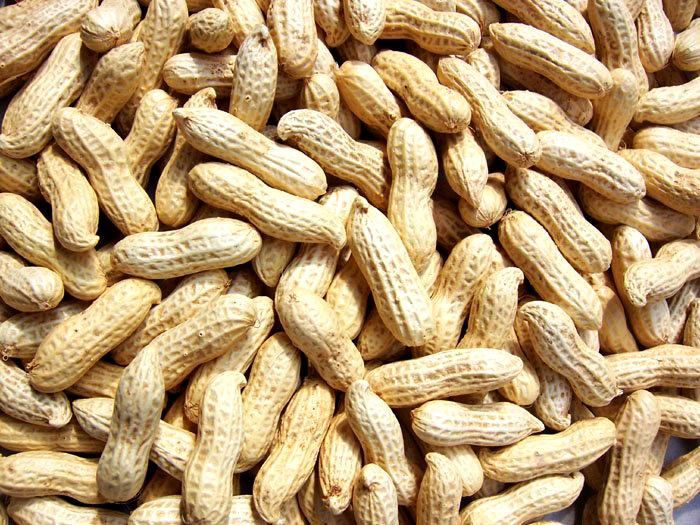 Groundnuts, but with less oil
