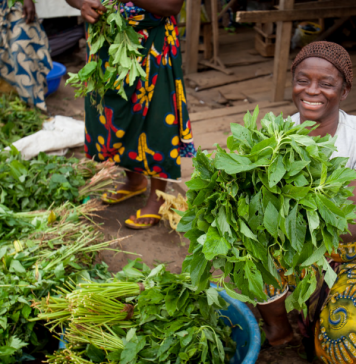Healthy Nigerian foods