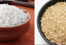 brown rice vs basmati rice