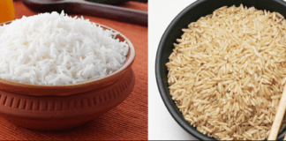 brown rice vs basmati rice