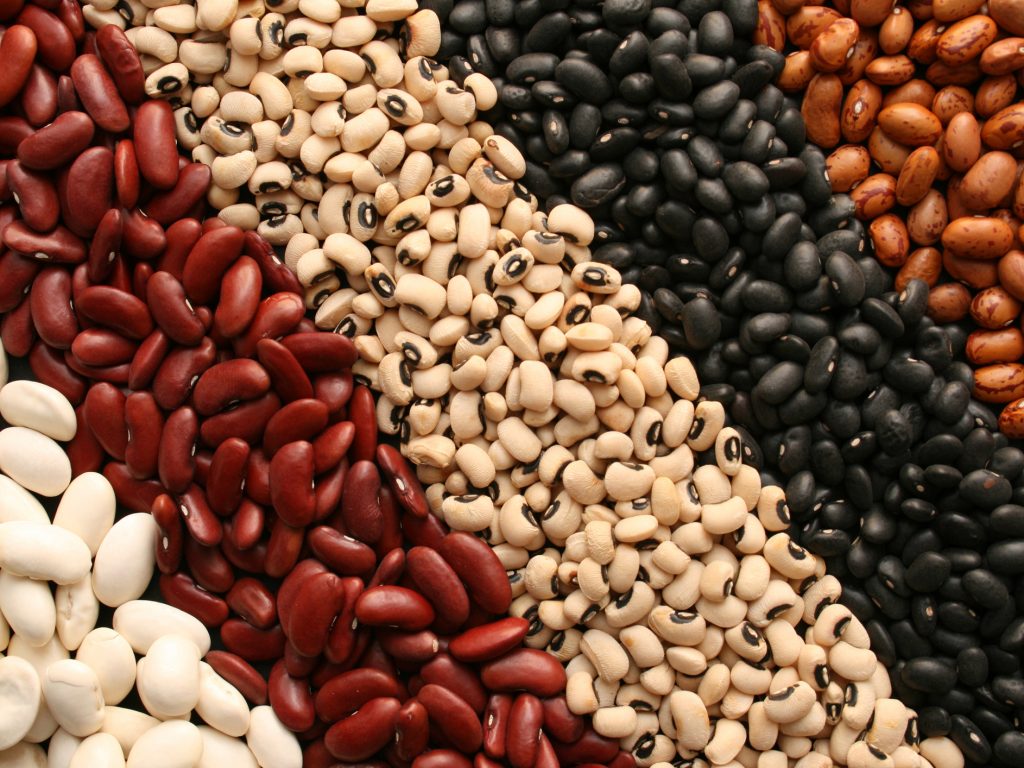 different types of beans and legumes