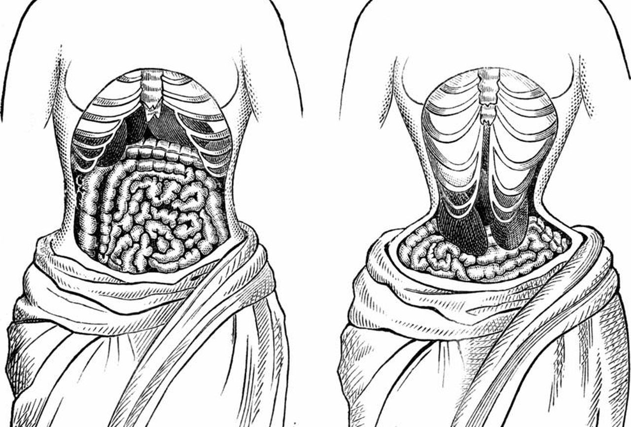 Waist Trainers; Figure 8 or Healthy Organs? HealthFacts NG