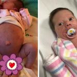 3aa0af4c33a6f02474b79bf95f20a5a6