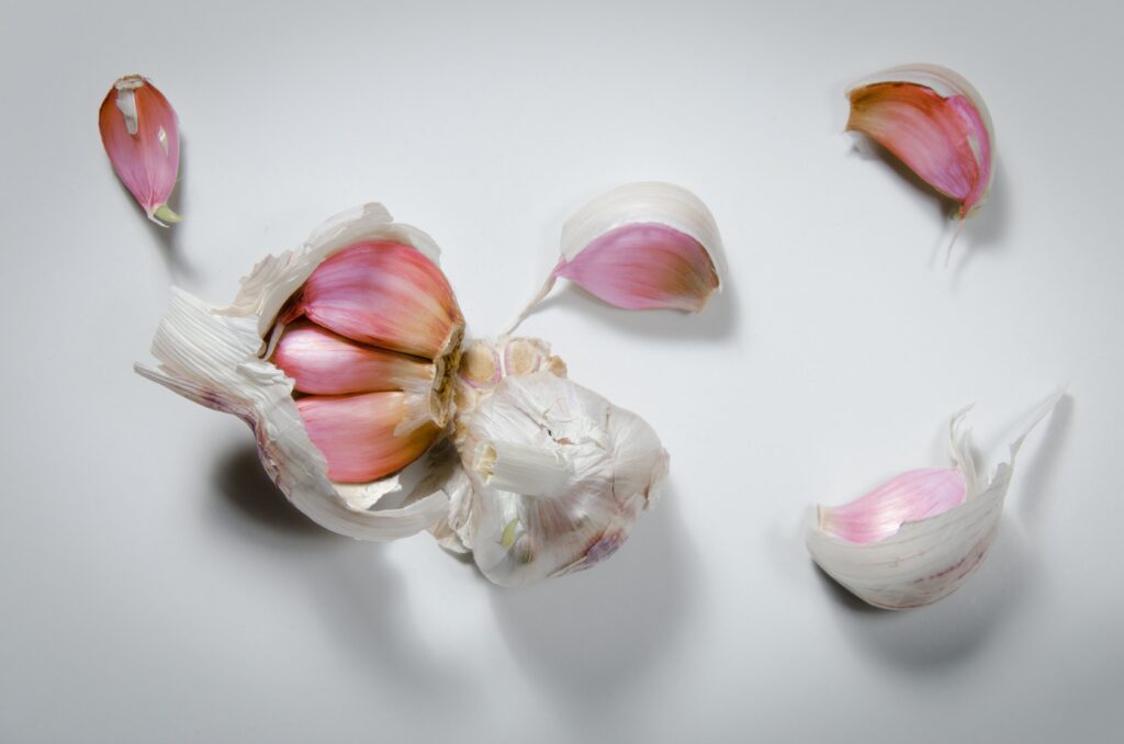 Garlic boost immune system