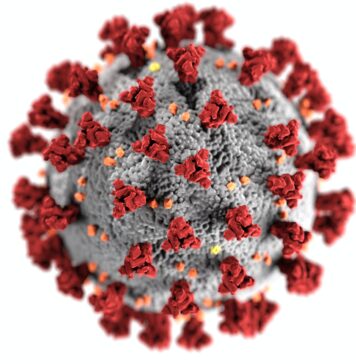 COVID 19 virus