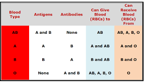 Different blood types and who they can give blood to and receive blood from