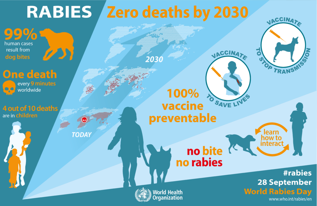 World Rabies Day Infographics 