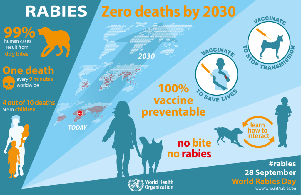 World Rabies Day Healthfacts