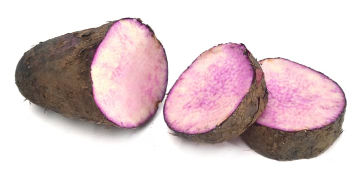 Yam