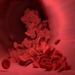 red-blood-cell-4256710_1920