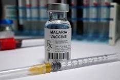 picture of a vial labelled malaria vaccine and a syringe that is capped