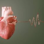 Digital generated human heart with pulse trace. ( 3d render )