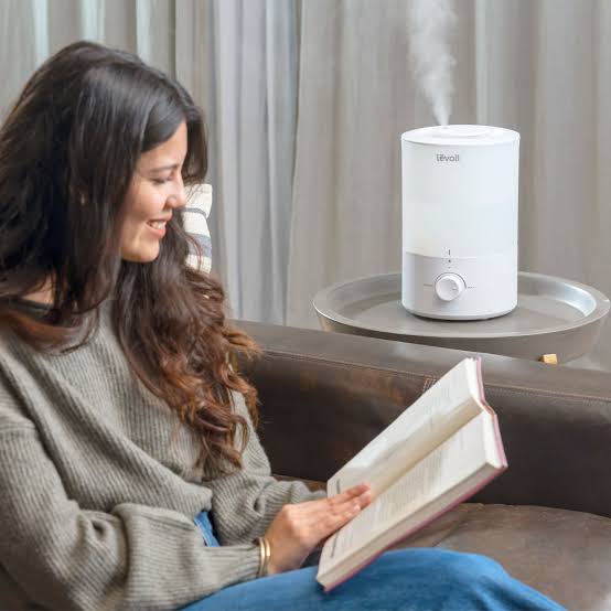 Placement of a humidifier in the living room
