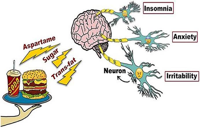 Effect of Junk food on the 
brain 