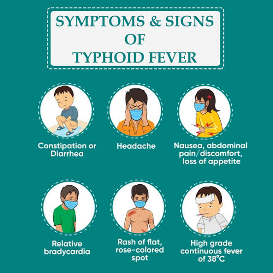 Symptoms of typhoid fever
