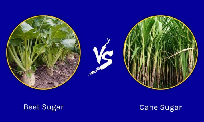 Sources of refined sugars
