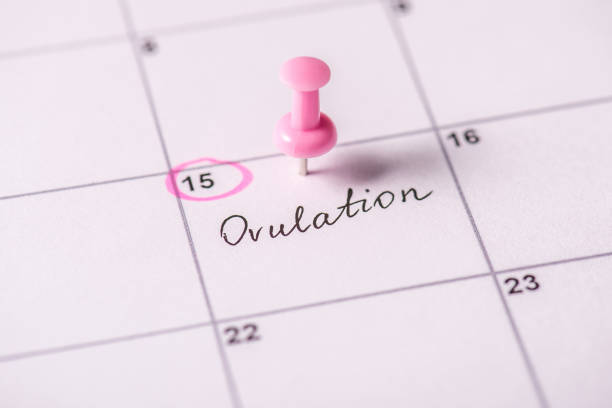 6 head-to-toe signs of ovulation
