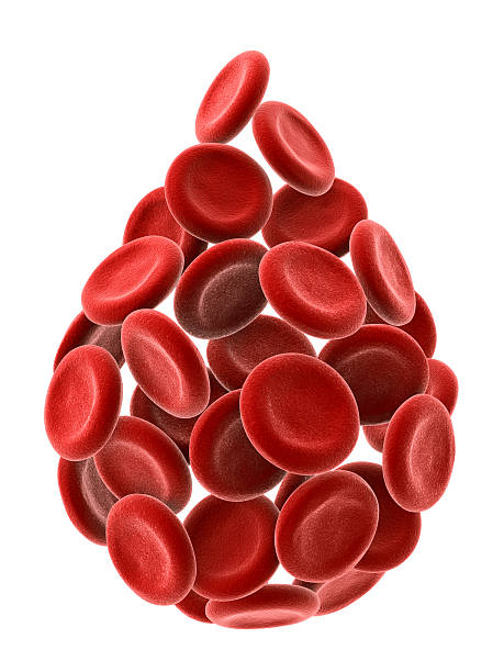 https://healthfacts.ng/wp-content/uploads/2023/10/anemia.jpg