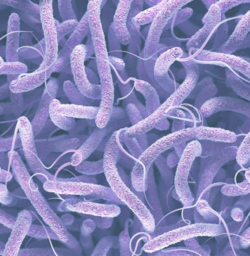 Cholera
