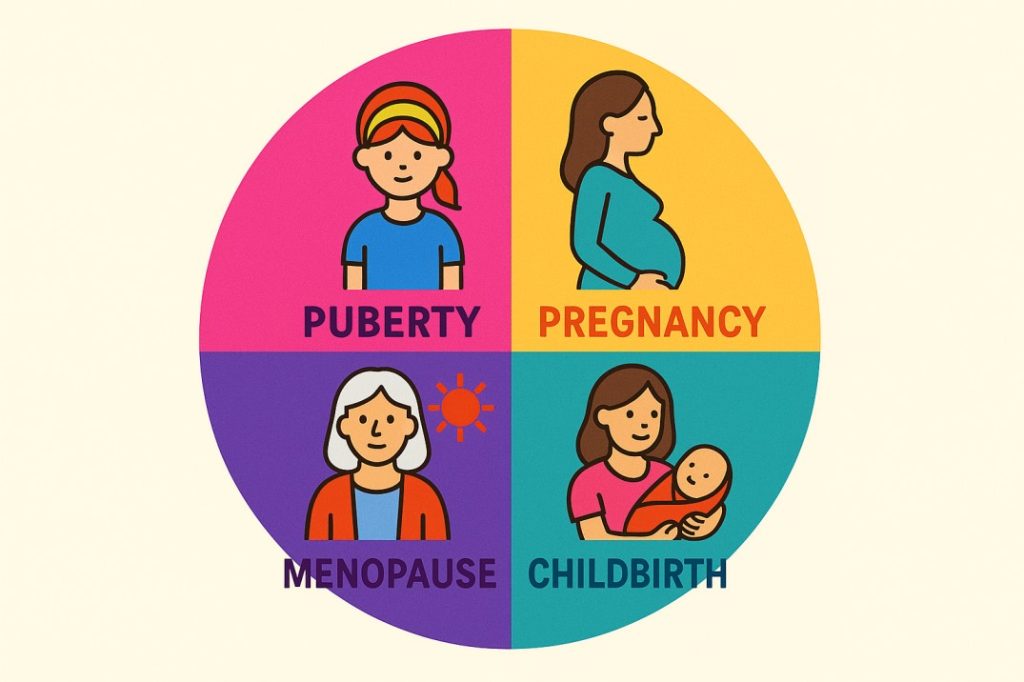 Life stages in women